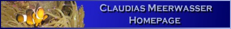 Claudias Meerwasser Homepage