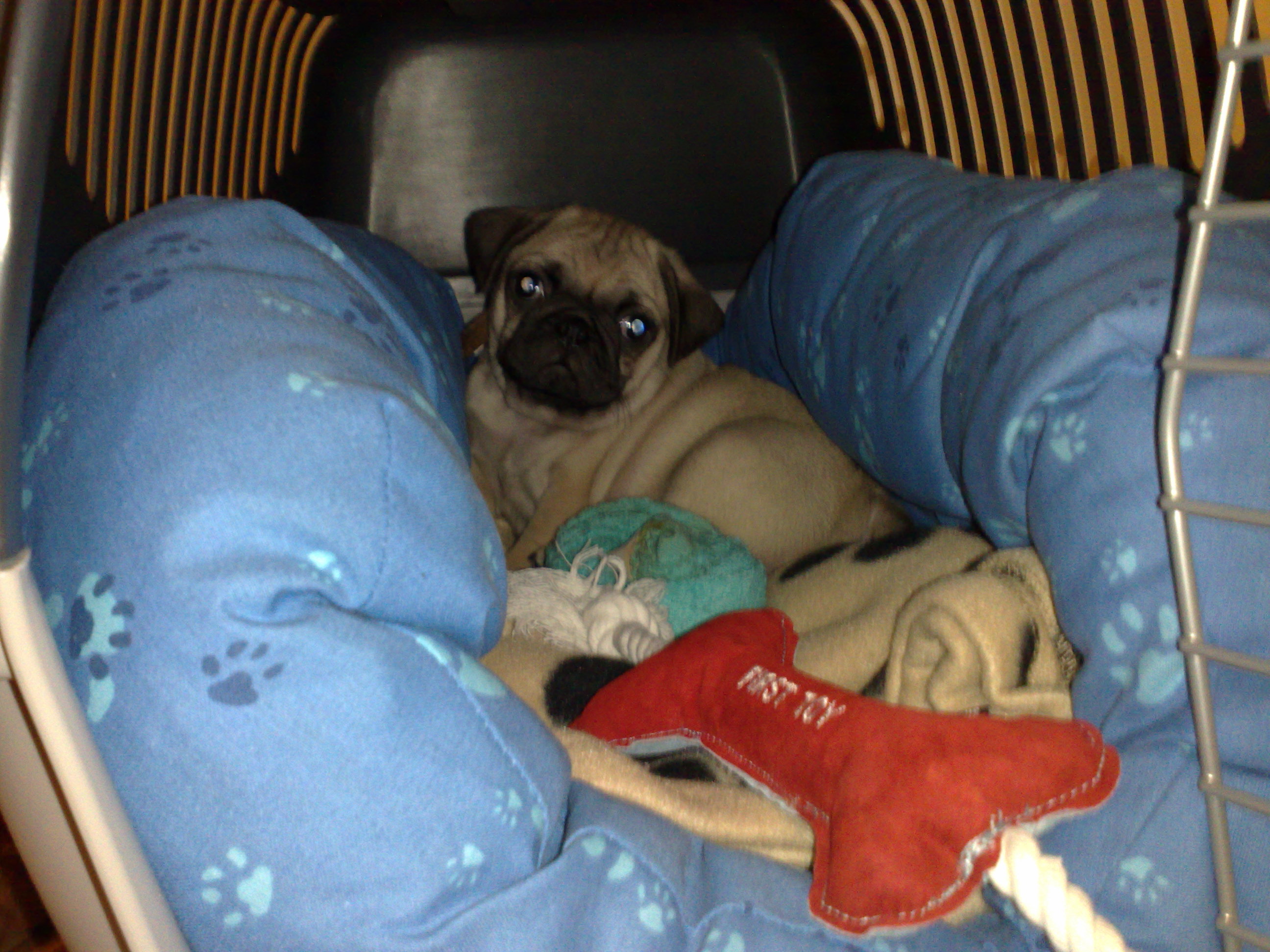 Ich in meiner Box